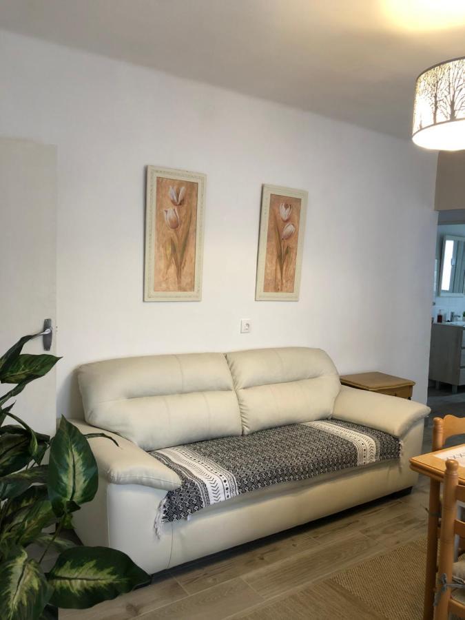 Apartamento Elizondo Giltxaurdi מראה חיצוני תמונה