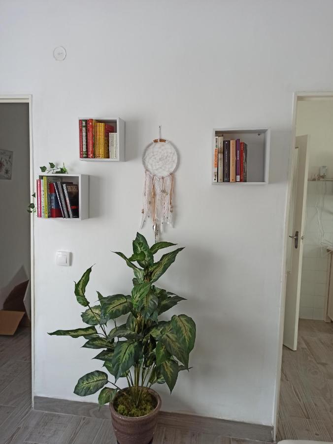 Apartamento Elizondo Giltxaurdi מראה חיצוני תמונה